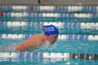 Swimming & Diving vs Babson  Swimming & Diving vs Babson College. - Photo by Keith Nordstrom : Wheaton, Swimming